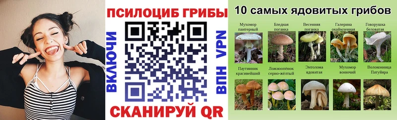 Псилоцибиновые грибы ЛСД  как найти закладки  Ухта 